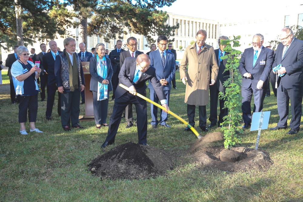 UN Secretary-General planting the tree